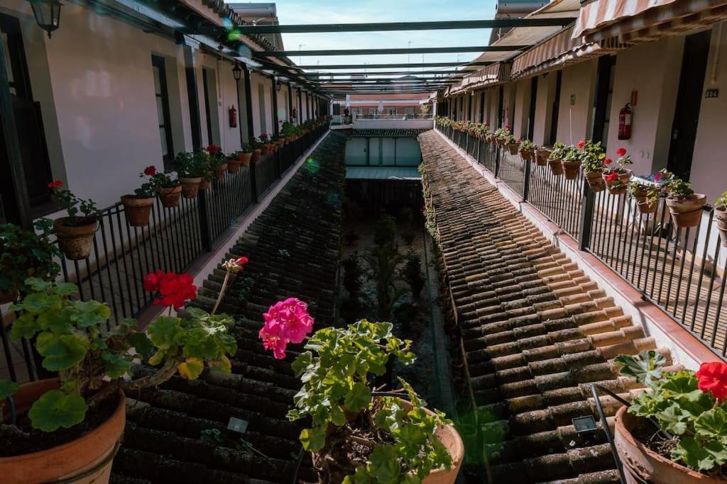 Apartamento Con Encanto En Patio Sevillano المظهر الخارجي الصورة