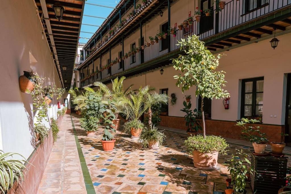 Apartamento Con Encanto En Patio Sevillano المظهر الخارجي الصورة